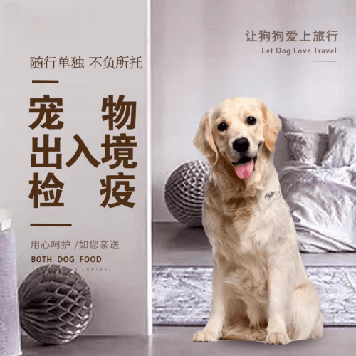 南通市宠物托运到哥伦比亚猫狗宠物入境规定和