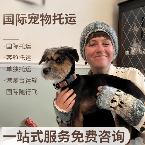 南通市国际宠物托运到阿根廷宠物入境规定和要