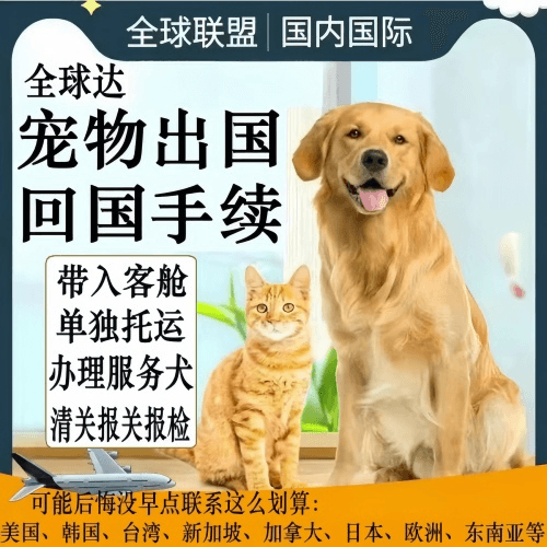 南通市宠物托运到柬埔寨宠物入境规定和要求