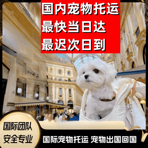 南通市到澳大利亚（澳洲）宠物入境规定和要求